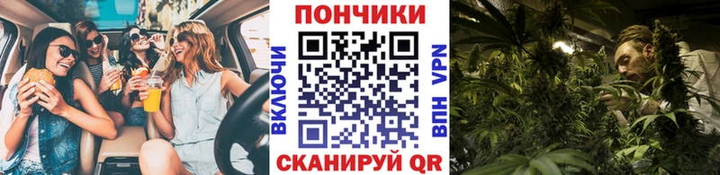 Купить наркотики Новосибирск Cocaine Мефедрон АМФ кракен Псилоцибиновые грибы ГАШ Конопля