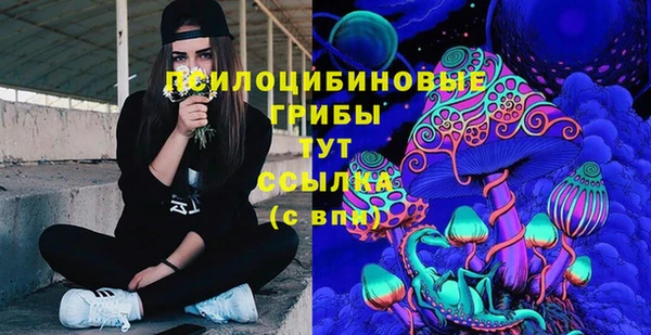ешки Каменск-Шахтинский