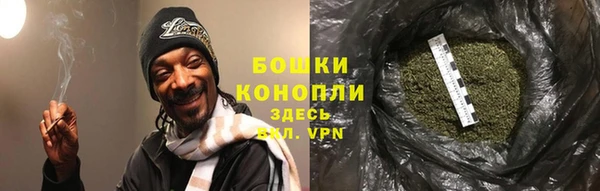 СК Каменногорск