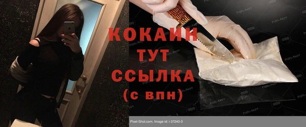 СК Каменногорск