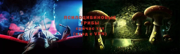 СК Каменногорск