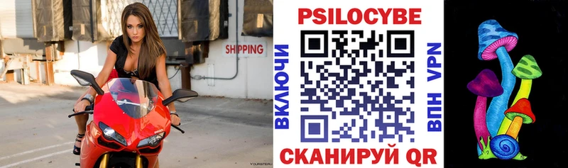 Псилоцибиновые грибы ЛСД купить Новосибирск